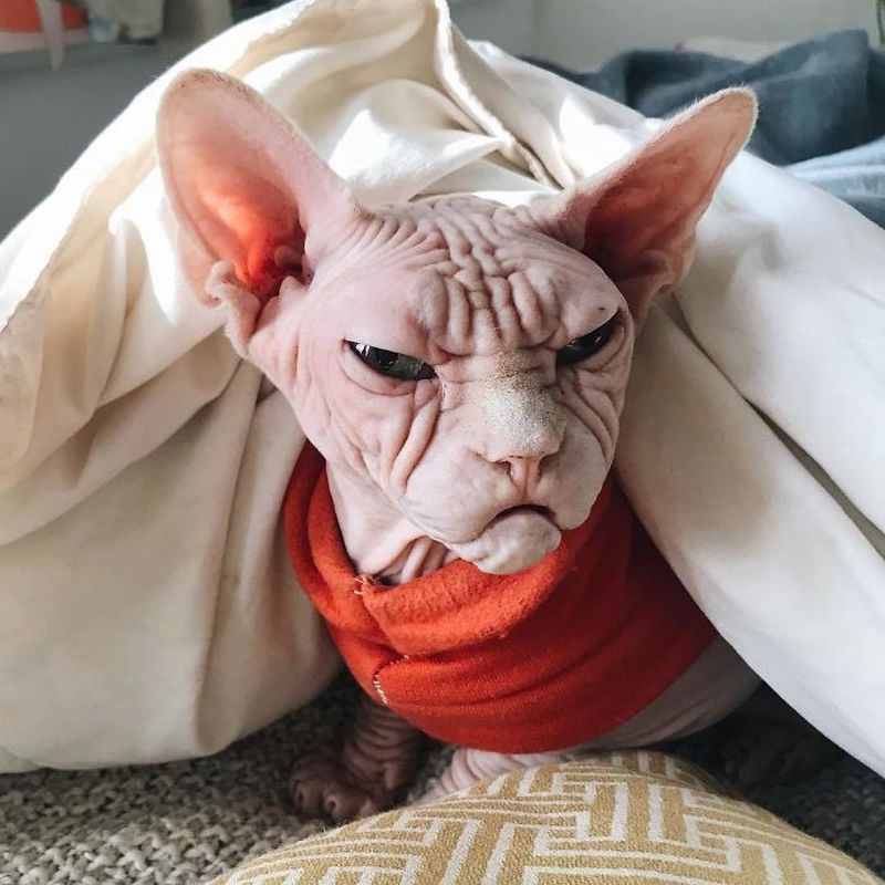 Смешные картинки косметология