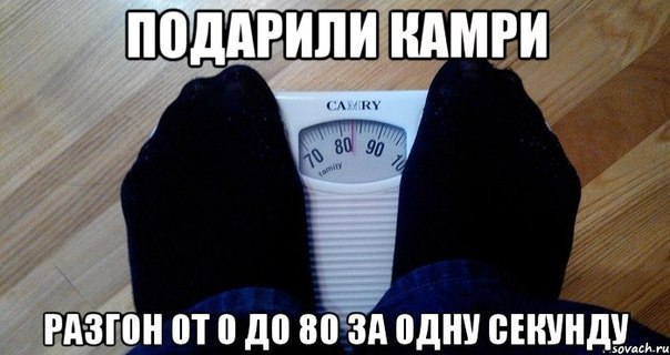 Смешные картинки про камри, открытка день