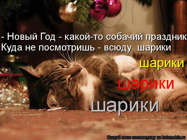 День открытки, новый год смешные картинки с животными с надписями