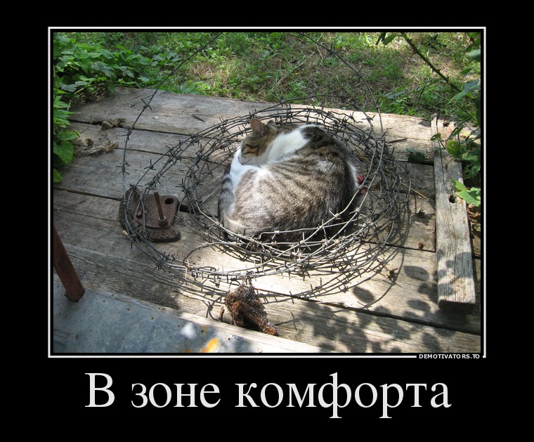 Ответы Mail.ru: Какая она - ваша зона комфорта?
