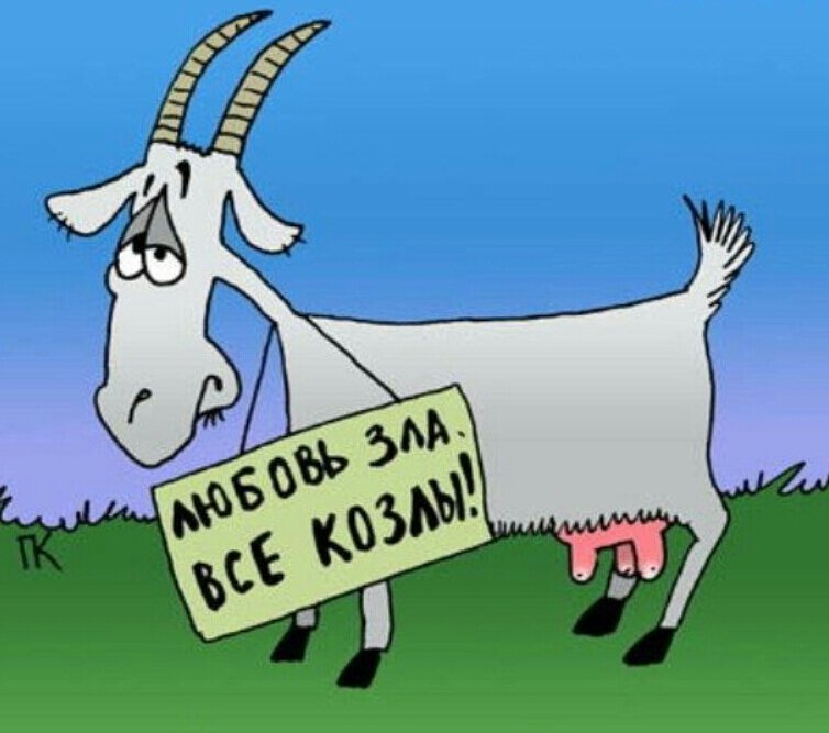 Коза рисунки смешные