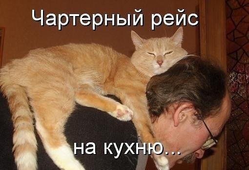 Не работаю сижу на шее мужа