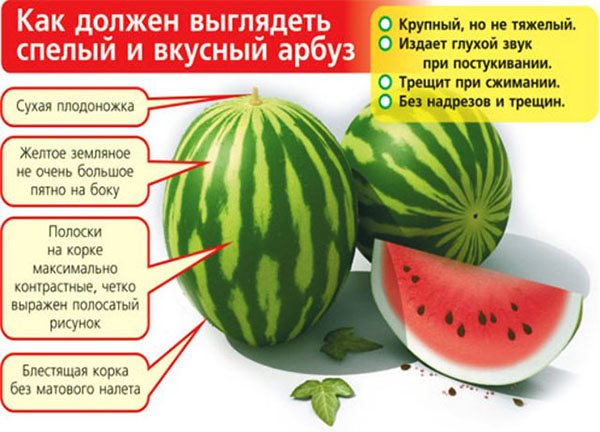Как должен выглядеть спелый