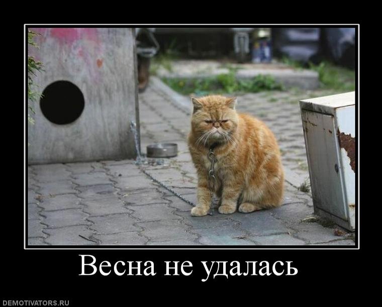 Прикольные картинки с надписями весна крестьянин торжествует