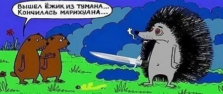 Смешные мемы про ежиков