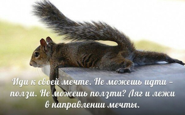 Солнышком надписями, прикольные картинки дожили до пятницы