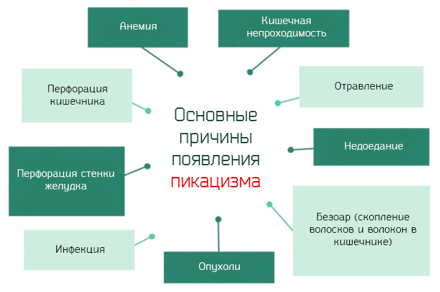 Pica chlorotica синдром. Pica chlorotica. Pica chlorotica. Pica chlorotica. Синдром тканевого дефицита железа.