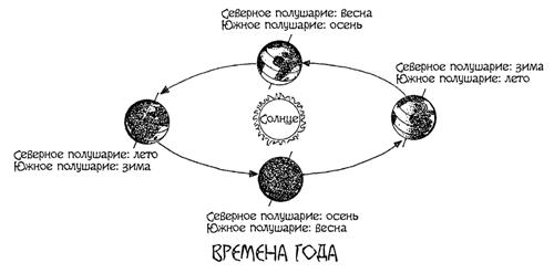 Смена времен года подробный проект