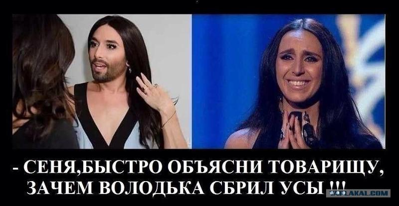 Володька наглаженный оригинал