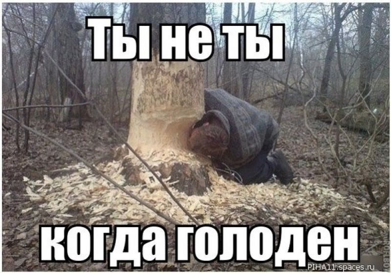 Смешные картинки голод, днем рождение лена