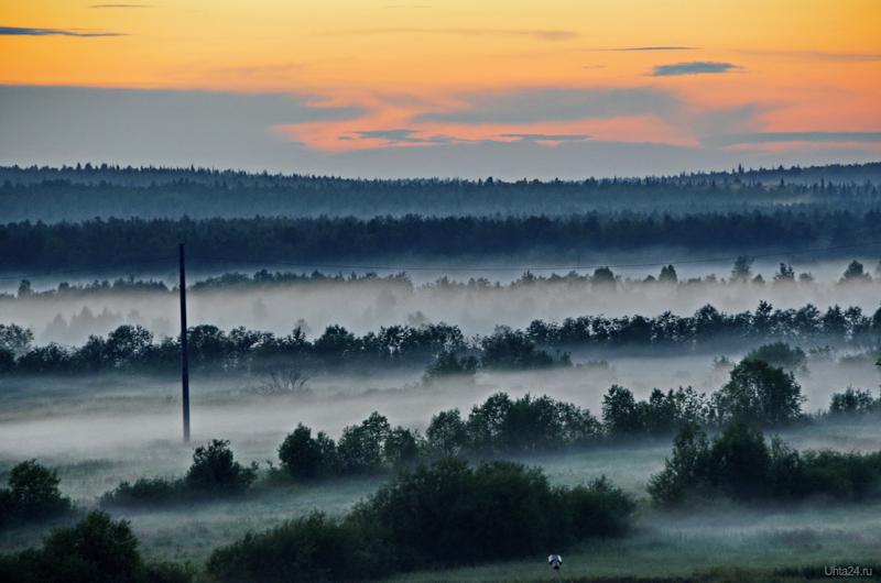 Что то необыкновенное широкое размашистое и богатырское. Фаутное дерево. Удивительная природа. Теплый безветренный день. Эрик йоханссон.