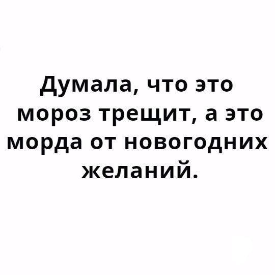 картинка думала мороз трещит а это морда профили исполнителей, узнаете