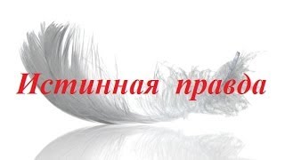 https://otvet.imgsmail.ru/download/u_c68adccd6ea2f936ab9319129d0672df_800.jpg