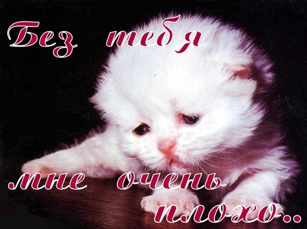 Открытка лучшему другу я не могу без тебя, открытки дню