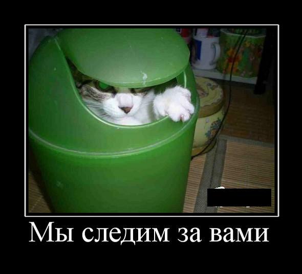 Приколы день, картинки я слежу за вами смешные