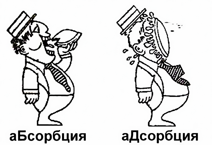 Что такое адсорбция и абсорбция? | Ответы Mail