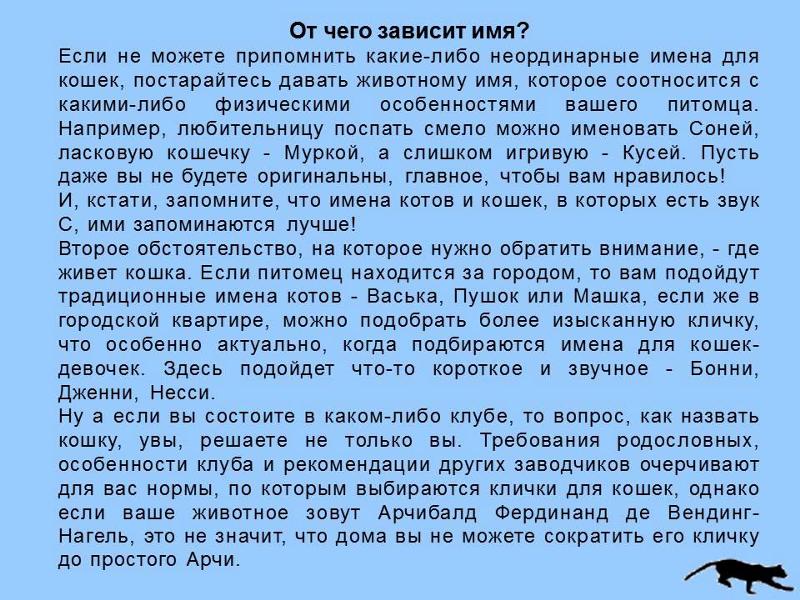 Имена для котов. Что значит имя кот. Красивые имена для кошек. Интересные клички для кота. Имена для котят мальчиков.