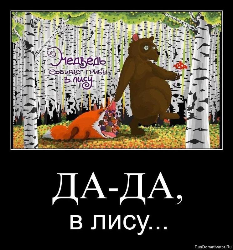 Картинка прикол медведь собирает грибы в лесу