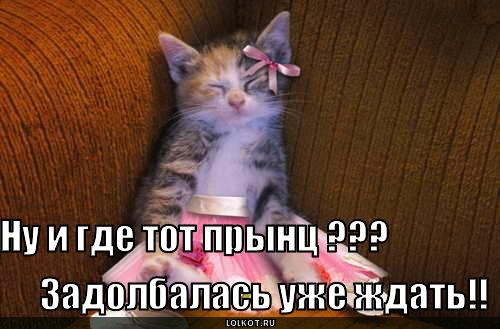 Прикольные картинки ты ждешь меня