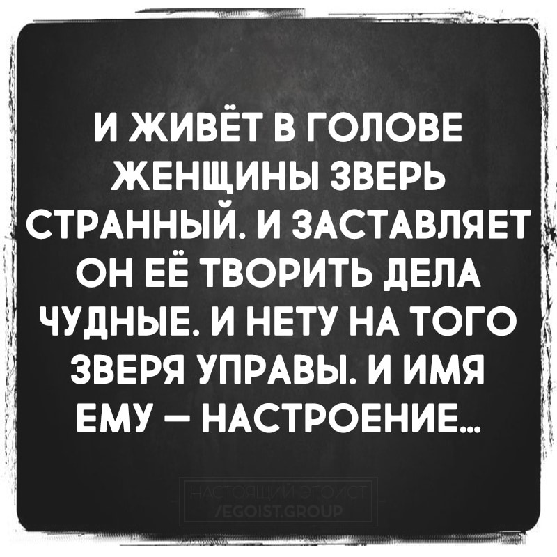 Картинки с надписями все бабы твари, днем рождения