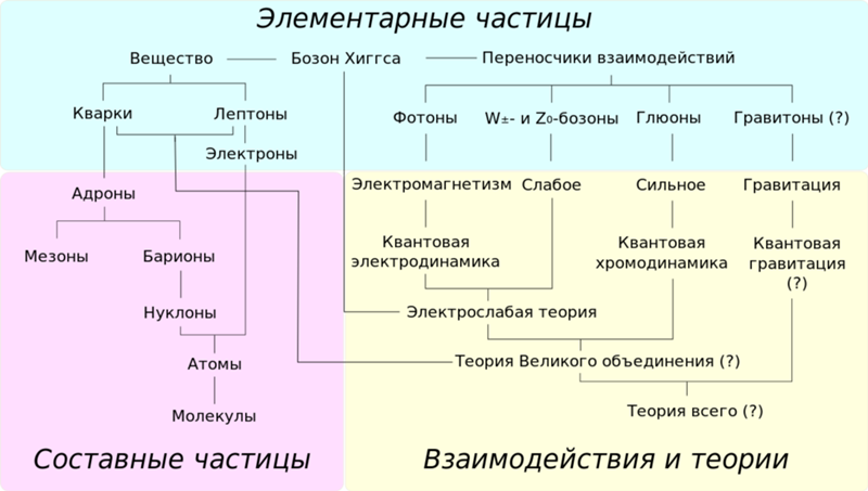 Какие частицы являются квантами? Вот например кварки это кванты и ...
