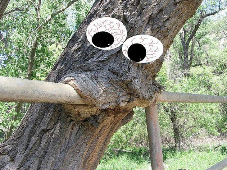 Коры смешные картинки, хорошей смены