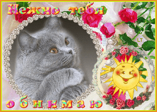 Хорошего дня обнимаю тебя