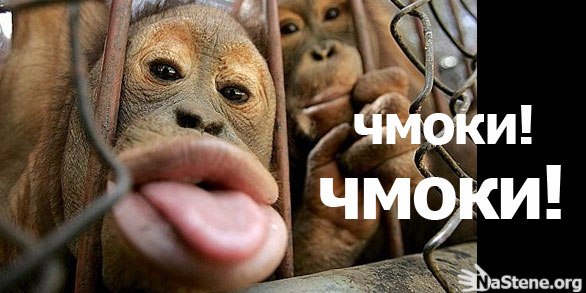 Открытки еще во и чмоки