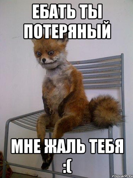 Картинки мне тебя жалко
