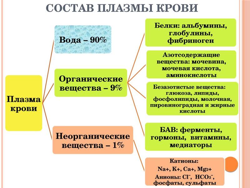 Компоненты плазмы крови таблица