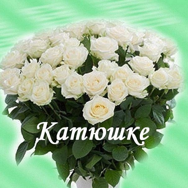 Для катеньки картинки