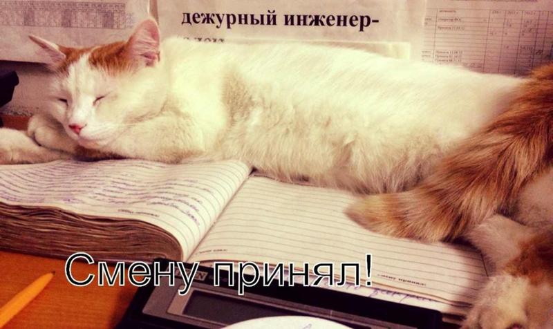 Открытка охраннику спокойной смены, гифы