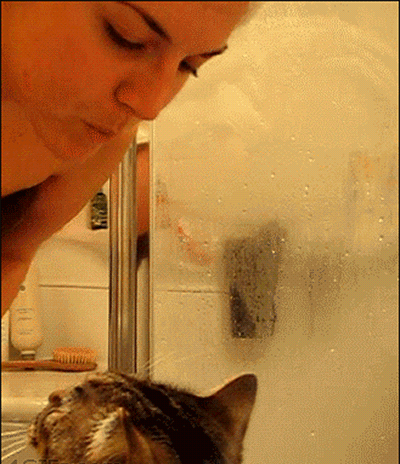 Котики гифы поцелуй, новогодними открытка