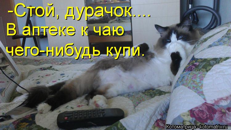 Порно я вас не смущаю вас порно не смущаю я