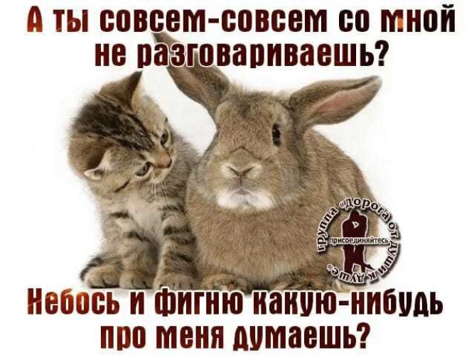 Картинки с надписью тебе совсем не до меня