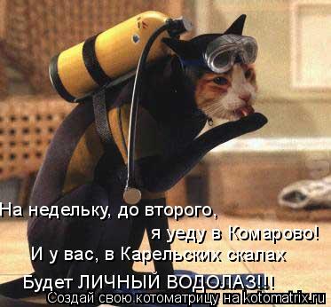 ПЕСНЯ Я УЕДУ В КОМАРОВО СКАЧАТЬ БЕСПЛАТНО ПЕСНЯ Я УЕДУ В КОМАРОВО СКАЧАТЬ БЕСПЛАТНО
