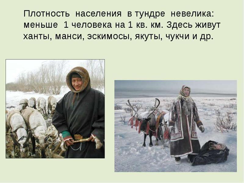Основные виды занятия населения