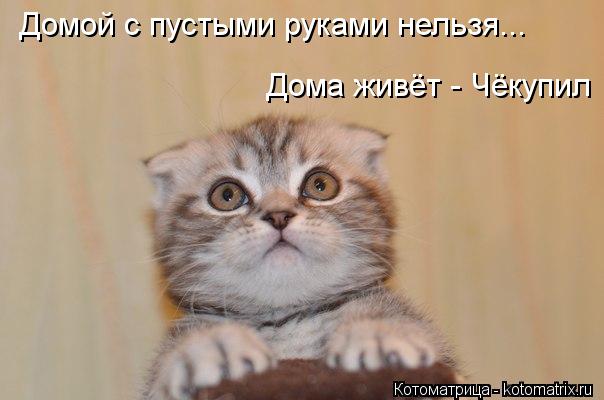 Я приехала домой картинки прикольные